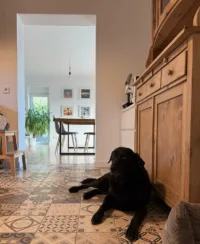 Detail - Küchenbüffet mit Klara