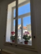 Detail Kastenfenster - IN VORBEREITUNG: Kapitalanlage mit Charme und Geschichte – Mehrfamilienwohnhaus in zentraler Innenstadtlage Coburgs