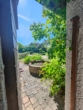 Blick in den Garten - Reserviert: Großzügiges Wohnhaus mit Doppelgarage und tollem Garten in Ahorn-Schorkendorf