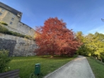 ...in Nähe der Veste - COBURG-FESTUNGSBERG, Freizeitgrundstück mit massivem Gartenhaus