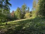 Garten - COBURG-FESTUNGSBERG, Freizeitgrundstück mit massivem Gartenhaus