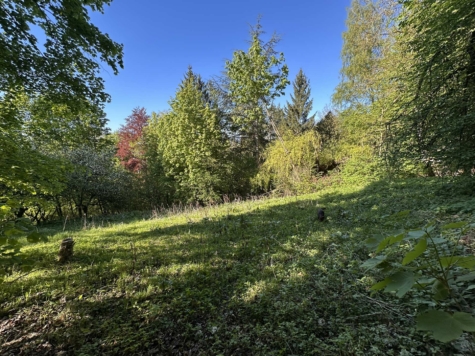 COBURG-FESTUNGSBERG, Freizeitgrundstück mit massivem Gartenhaus, 96450 Coburg, Grundstück